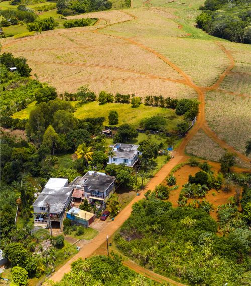 Sector Público y Desarrollo Rural